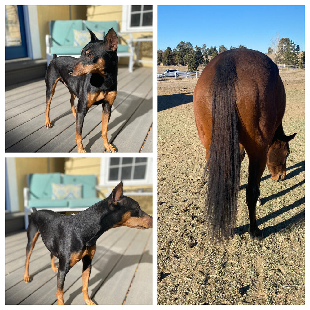 That Tail Crap - Conditioning Spray