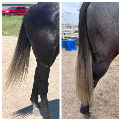 That Tail Crap - Conditioning Spray
